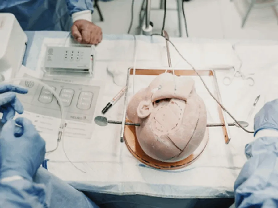3D NeuroTrainer